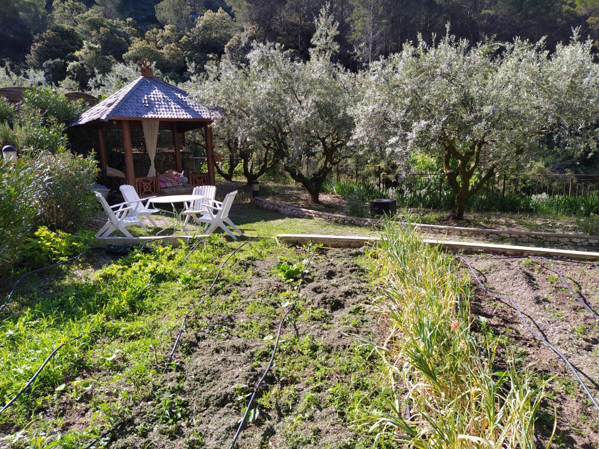Hotel Le Frangipanier Le Barroux Pokoj fotografie